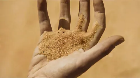 Dune